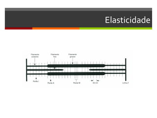 Elasticidade
 