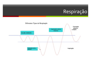 Respiração
 