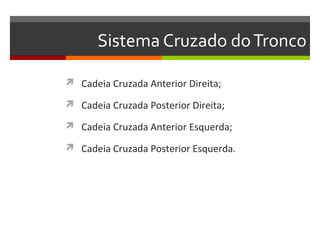 Sistema Cruzado do Tronco

 Cadeia Cruzada Anterior Direita;

 Cadeia Cruzada Posterior Direita;

 Cadeia Cruzada Anterior Esquerda;

 Cadeia Cruzada Posterior Esquerda.
 
