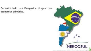 Apresentação elaborada pela Professora FERNANDA LOPES, disciplina de Geografia
De outro lado tem Paraguai e Uruguai com
economias primárias.
 