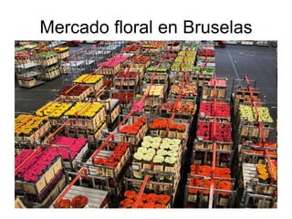 Mercado floral en Bruselas 