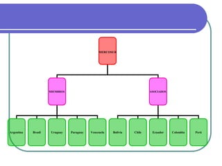 MERCOSUR

MIEMBROS

Argentina

Brasil

Uruguay

ASOCIADOS

Paraguay

Venezuela

Bolivia

Chile

Ecuador

Colombia

Perú

 