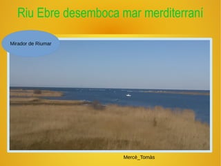 Riu Ebre desemboca mar merditerraní
Mercè_Tomàs
Mirador de Riumar
 
