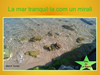 La mar tranquil·la com un mirall
Des
de
La RàpitaMercè Tomàs
 