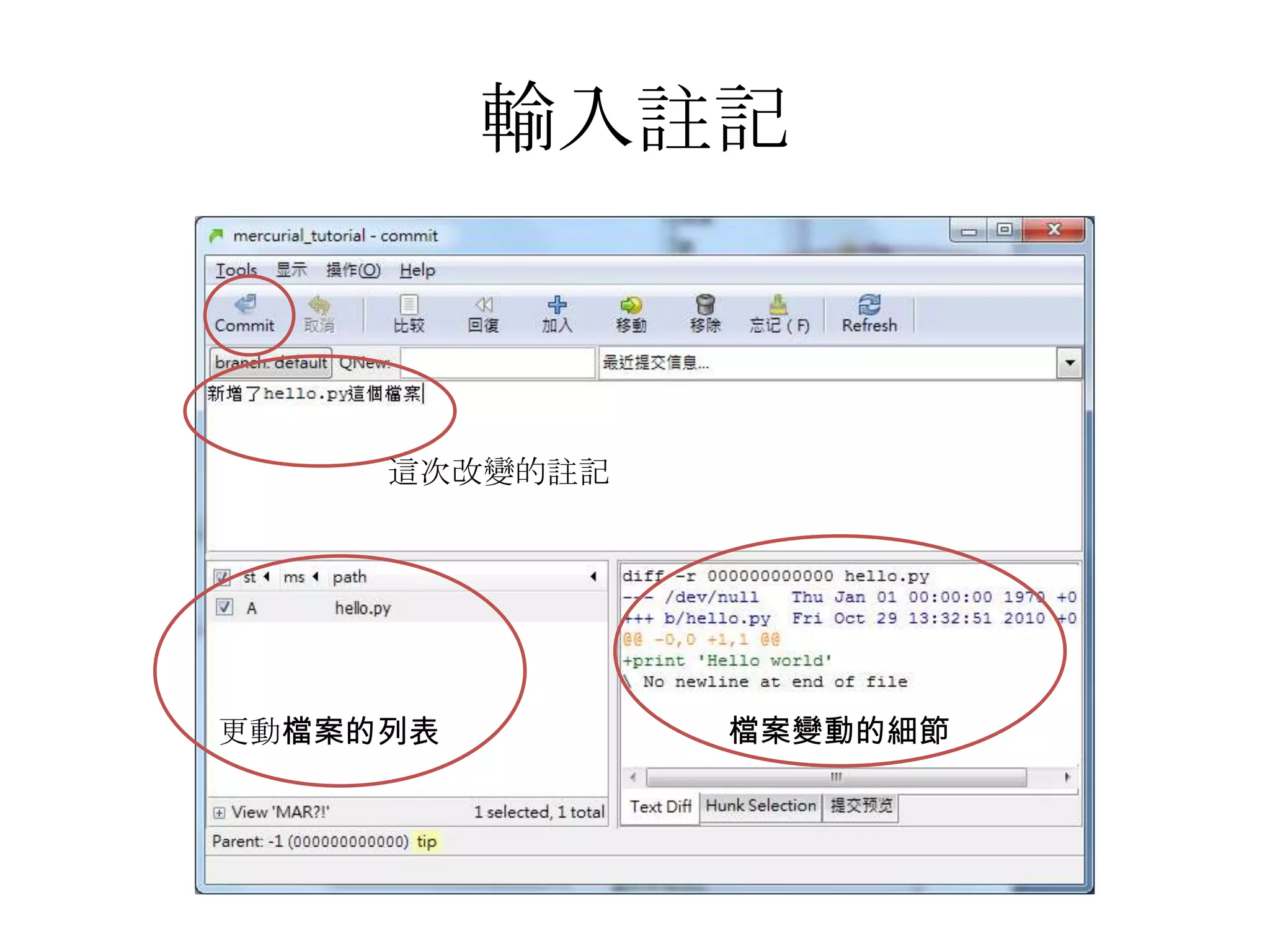 輸入註記



     這次改變的註記




更動檔案的列表        檔案變動的細節
 