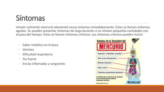 Síntomas
Inhalar suficiente mercurio elemental causa síntomas inmediatamente. Estos se llaman síntomas
agudos. Se pueden presentar síntomas de larga duración si se inhalan pequeñas cantidades con
el paso del tiempo. Estos se llaman síntomas crónicos. Los síntomas crónicos pueden incluir:
◦ Sabor metálico en la boca
◦ Vómitos
◦ Dificultad respiratoria
◦ Tos fuerte
◦ Encías inflamadas y sangrantes
 
