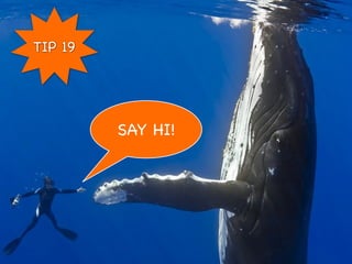 TIP 19




         SAY HI!
 