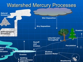 Watershed Mercury Processes Anthropogenic Emissions Wet Deposition Dry Deposition Evasion Natural Emissions Percolation Shallow  Ground Water Settling Resuspension Diffusion Runoff and Erosion Rivers and Streams Weathering Evasion Litterfall and Throughfall 