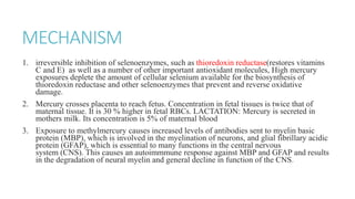 MECHANISM
1. irreversible inhibition of selenoenzymes, such as thioredoxin reductase(restores vitamins
C and E) as well as a number of other important antioxidant molecules, High mercury
exposures deplete the amount of cellular selenium available for the biosynthesis of
thioredoxin reductase and other selenoenzymes that prevent and reverse oxidative
damage.
2. Mercury crosses placenta to reach fetus. Concentration in fetal tissues is twice that of
maternal tissue. It is 30 % higher in fetal RBCs. LACTATION: Mercury is secreted in
mothers milk. Its concentration is 5% of maternal blood
3. Exposure to methylmercury causes increased levels of antibodies sent to myelin basic
protein (MBP), which is involved in the myelination of neurons, and glial fibrillary acidic
protein (GFAP), which is essential to many functions in the central nervous
system (CNS). This causes an autoimmmune response against MBP and GFAP and results
in the degradation of neural myelin and general decline in function of the CNS.
 