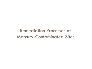 Remediation Processes of
Mercury-Contaminated Sites
 
