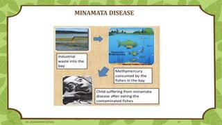 MINAMATA DISEASE
DR. DHANASHREE GUNJAL 26
 