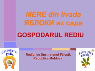 MERE din livada
 ЯБЛОКИ из сада
GOSPODARUL REDIU

  Rediul de Sus, raionul Făleşti,
      Republica Moldova
 