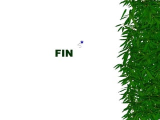 FIN
 