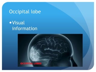 TBI and Memory Loss | PPT