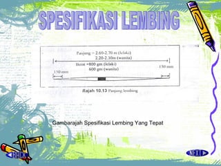 SPESIFIKASI LEMBING Gambarajah Spesifikasi Lembing Yang Tepat 