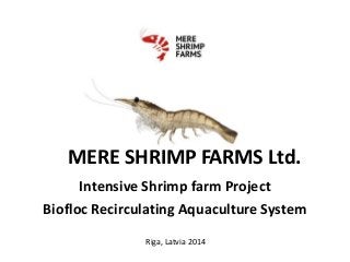 MERE SHRIMP FARMS Ltd.
Intensive Shrimp farm Project
Biofloc Recirculating Aquaculture System
Riga, Latvia 2014
 