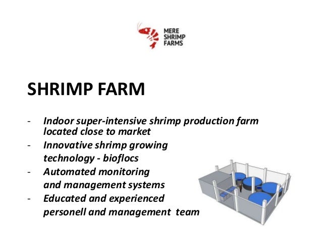 Prawn farming business profit image