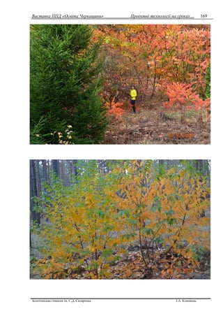 Виставка ППД «Освіта Черкащини» Проектні технології на уроках…
Золотоніська гімназія ім. С.Д. Скляренка І.А. Кононець
169
 