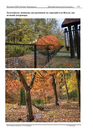 Виставка ППД «Освіта Черкащини» Проектні технології на уроках…
Золотоніська гімназія ім. С.Д. Скляренка І.А. Кононець
170
Золотоніське лісництво, яке розміщене на території села Вільхи, має
великий дендропарк.
 
