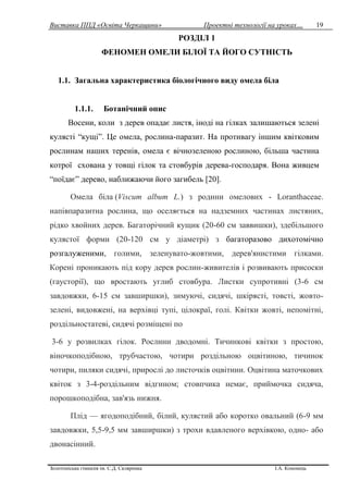 Виставка ППД «Освіта Черкащини» Проектні технології на уроках…
Золотоніська гімназія ім. С.Д. Скляренка І.А. Кононець
19
РОЗДІЛ 1
ФЕНОМЕН ОМЕЛИ БІЛОЇ ТА ЙОГО СУТНІСТЬ
1.1. Загальна характеристика біологічного виду омела біла
1.1.1. Ботанічний опис
Восени, коли з дерев опадає листя, іноді на гілках залишаються зелені
кулясті “кущі”. Це омела, рослина-паразит. На противагу іншим квітковим
рослинам наших теренів, омела є вічнозеленою рослиною, більша частина
котрої схована у товщі гілок та стовбурів дерева-господаря. Вона живцем
“поїдає” дерево, наближаючи його загибель [20].
Омела біла (Viscum album L.) з родини омелових - Loranthaceae.
напівпаразитна рослина, що оселяється на надземних частинах листяних,
рідко хвойних дерев. Багаторічний кущик (20-60 см заввишки), здебільшого
кулястої форми (20-120 см у діаметрі) з багаторазово дихотомічно
розгалуженими, голими, зеленувато-жовтими, дерев'янистими гілками.
Корені проникають під кору дерев рослин-живителів і розвивають присоски
(гаусторії), що вростають углиб стовбура. Листки супротивні (3-6 см
завдовжки, 6-15 см завширшки), зимуючі, сидячі, шкірясті, товсті, жовто-
зелені, видовжені, на верхівці тупі, цілокраї, голі. Квітки жовті, непомітні,
роздільностатеві, сидячі розміщені по
3-6 у розвилках гілок. Рослини дводомні. Тичинкові квітки з простою,
віночкоподібною, трубчастою, чотири роздільною оцвітиною, тичинок
чотири, пиляки сидячі, прирослі до листочків оцвітини. Оцвітина маточкових
квіток з 3-4-роздільним відгином; стовпчика немає, приймочка сидяча,
порошкоподібна, зав'язь нижня.
Плід — ягодоподібний, білий, кулястий або коротко овальний (6-9 мм
завдовжки, 5,5-9,5 мм завширшки) з трохи вдавленого верхівкою, одно- або
двонасінний.
 