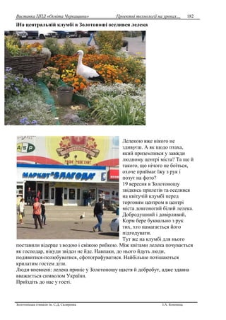 Виставка ППД «Освіта Черкащини» Проектні технології на уроках…
Золотоніська гімназія ім. С.Д. Скляренка І.А. Кононець
182
їНа центральній клумбі в Золотоноші оселився лелека
Лелекою вже нікого не
здивуєш. А як щодо птаха,
який приземлився у завжди
людному центрі міста? Та ще й
такого, що нічого не боїться,
охоче приймає їжу з рук і
позує на фото?
19 вересня в Золотоношу
звідкись прилетів та оселився
на квітучій клумбі перед
торговим центром в центрі
міста довгоногий білий лелека.
Добродушний і довірливий,
Корм бере буквально з рук
тих, хто намагається його
підгодувати.
Тут же на клумбі для нього
поставили відерце з водою і свіжою рибкою. Між квітами лелека почувається
як господар, нікуди звідси не йде. Навпаки, до нього йдуть люди,
подивитися-полюбуватися, сфотографуватися. Найбільше потішаються
крилатим гостем діти.
Люди впевнені: лелека приніс у Золотоношу щастя й добробут, адже здавна
вважається символом України.
Приїздіть до нас у гості.
 