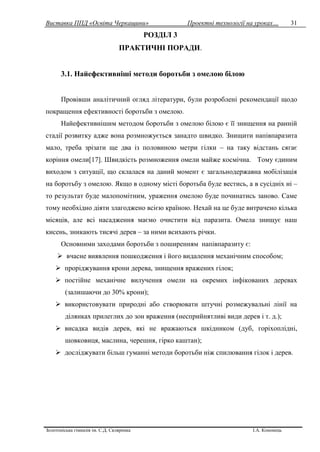 Виставка ППД «Освіта Черкащини» Проектні технології на уроках…
Золотоніська гімназія ім. С.Д. Скляренка І.А. Кононець
31
РОЗДІЛ 3
ПРАКТИЧНІ ПОРАДИ.
3.1. Найефективніші методи боротьби з омелою білою
Провівши аналітичний огляд літератури, були розроблені рекомендації щодо
покращення ефективності боротьби з омелою.
Найефективнішим методом боротьби з омелою білою є її знищення на ранній
стадії розвитку адже вона розмножується занадто швидко. Знищити напівпаразита
мало, треба зрізати ще два із половиною метри гілки – на таку відстань сягає
коріння омели[17]. Швидкість розмноження омели майже космічна. Тому єдиним
виходом з ситуації, що склалася на даний момент є загальнодержавна мобілізація
на боротьбу з омелою. Якщо в одному місті боротьба буде вестись, а в сусідніх ні –
то результат буде малопомітним, ураження омелою буде починатись заново. Саме
тому необхідно діяти злагоджено всією країною. Нехай на це буде витрачено кілька
місяців, але всі насадження маємо очистити від паразита. Омела знищує наш
кисень, зникають тисячі дерев – за ними всихають річки.
Основними заходами боротьби з поширенням напівпаразиту є:
 вчасне виявлення пошкодження і його видалення механічним способом;
 проріджування крони дерева, знищення вражених гілок;
 постійне механічне вилучення омели на окремих інфікованих деревах
(залишаючи до 30% крони);
 використовувати природні або створювати штучні розмежувальні лінії на
ділянках прилеглих до зон враження (несприйнятливі види дерев і т. д.);
 висадка видів дерев, які не вражаються шкідником (дуб, горіхоплідні,
шовковиця, маслина, черешня, гірко каштан);
 досліджувати більш гуманні методи боротьби ніж спилювання гілок і дерев.
 