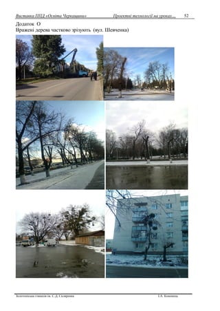Виставка ППД «Освіта Черкащини» Проектні технології на уроках…
Золотоніська гімназія ім. С.Д. Скляренка І.А. Кононець
52
Додаток О
Вражені дерева частково зрізують (вул. Шевченка)
 
