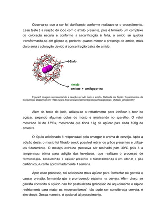 Observa-se que a cor foi clarificando conforme realizava-se o procedimento.
Esse teste é a reação do iodo com o amido presente, pois é formado um complexo
de coloração escura e conforme a sacarificação é feita, o amido se quebra
transformando-se em glicose e, portanto, quanto menor a presença de amido, mais
claro será a coloração devido à concentração baixa de amido.
Figura 2 Imagem representando a reação do iodo com o amido. Retirada da Seção: Experimentos de
Bioquímica; Disponível em <http://www.fcfar.unesp.br/alimentos/bioquimica/praticas_ch/teste_amido.htm>
Além do teste de iodo, utilizou-se o refratômetro para verificar o teor de
açúcar, pegando algumas gotas do mosto e analisando no aparelho. O valor
mostrado foi de 17ºBx, mostrando que tinha 17g de açúcar para cada 100g de
amostra.
O lúpulo adicionado é responsável pelo amargor e aroma da cerveja. Após a
adição deste, o mosto foi filtrado sendo possível retirar os grãos presentes e utiliza-
los futuramente. O melaço extraído precisava ser resfriado para 30ºC pois é a
temperatura ótima para adição das leveduras, que realizam o processo de
fermentação, consumindo o açúcar presente e transformando-o em etanol e gás
carbônico, durante aproximadamente 1 semana.
Após esse processo, foi adicionado mais açúcar para fermentar na garrafa e
causar pressão, formando gás e promovendo espuma na cerveja. Além disso, se
garrafa contendo o líquido não for pasteurizada (processo de aquecimento e rápido
resfriamento para matar os microrganismos) não pode ser considerada cerveja, e
sim chope. Dessa maneira, é opcional tal procedimento.
 