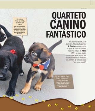 QUARTETO
CANINO
FANTÁSTICONo próximo sábado, 3 de
dezembro, RibeirãoShopping e
A Cidade promovem, com
o apoio do Instituto Iluminar,
mais uma edição do Adote
PET – e esses quatro
cachorrinhos serão alguns dos
filhotes que estarão em busca
de um novo lar e muito amor.
Tem como resistir?
WEBER SIAN / A CIDADE
Oi, eu sou o Ted!
Quer brincar?
Fala aí, pessoal! Meu
nome é Ted, tenho 40 dias
e tenho energia de sobra
para brincar! Que tal me
levar para casa?
Eu sou o
Theo e estou
de olho em
você!
Sim, em você mesmo!
Tenho certeza de que
você procura um filhote
de 40 dias com muito
amor pra dar! Sou eu!
Me adota!
 