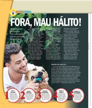 FORA,MAUHÁLITO!Os pets precisam
se acostumar
com a escovação
para ter uma saúde
bucal perfeita
Se tem uma coisa que é
chata é o mau hálito, não é?
Bom, eu, Thor, esse vira-
lata bonitão de 4 anos, não
saberia dizer isso: mau hálito
é algo que eu não tenho!
Isso porque o meu tutor,
o Stéffano Bucci, com os
conselhos e a ajuda da
médica-veterinária e gerente
técnica da Ourofino Pet,
Andrea Savioli, incluíram o
hábito de escovar os dentes
desde que eu era filhote –
tanto para mim quanto para
meus três irmãos, Greco,
Bóris e Mel, além de nosso
irmão adotivo, o gato Eros.
E escovar os dentes do
pet não é frescura, não!
Este ato ajuda a prevenir
o mau hálito e doenças,
além do acúmulo de placa
e cálculo dentário que leva
à gengivite (inflamação da
gengiva). “Posteriormente,
há o risco de as bactérias
atingirem a corrente
sanguínea e provocarem
inflamações e alterações que
podem comprometer até o
funcionamento do coração”,
ensina a doutora.
Por indicação médica,
tenho o costume de ir
escovar os dentes uma vez
por semana. Assim, desde
filhotes, eu e meus irmãos
aprendemos a aceitar a
escovação – e vale destacar
que existem no mercado
produtos específicos para
essa atividade. Além disso,
também usamos produtos
feitos para roer que ajudam
a eliminar o mau hálito e
prevenir o tártaro. Legal, né?
Eu sou grandão e bonitão,
mas se você é um cão de
pequeno porte e focinho
curto, atenção: a doutora
Andrea explica que a
tendência é de vocês terem
mais problemas com a saúde
oral. Outra dica: a doença
periodontal, inflamação ou
infecção da gengiva e dos
ossos que dão suporte aos
dentes, é muito comum e
pode atingir até 80% dos cães
e gatos acima de 5 anos!
Meu tutor já cuidou de
bichinhos com problemas
dentários e avisa: a dor é
grande para o pet! Então,
cuidado redobrado, ok?
MATHEUSURENHA/ACIDADE
SAÚDEANIMAL
DEPOIS DE ADULTO...
Se seu pet já for adulto, terá mais dificuldade em
aceitar a escovação. Paciência, humano! Se, diferente
de mim, não foi acostumado desde pequeno, você
precisa esperar ele estar calmo e iniciar a escovação
aos poucos. Pode levar dias! Enquanto isso, massageie
as bochechas dele e comece por fora da boca para só
depois escovar os dentes e a gengiva. Não se esqueça
de colocar gazes nos dedos na hora de massagear
dentro da boca de seu pet. Há também dedeiras
apropriadas (você encontra em pet shops) e escovas
de dente próprias para os pets. A hora da escovação
deve ser breve – e nada de usar a força, ok?
1 2 3 4 5
 
