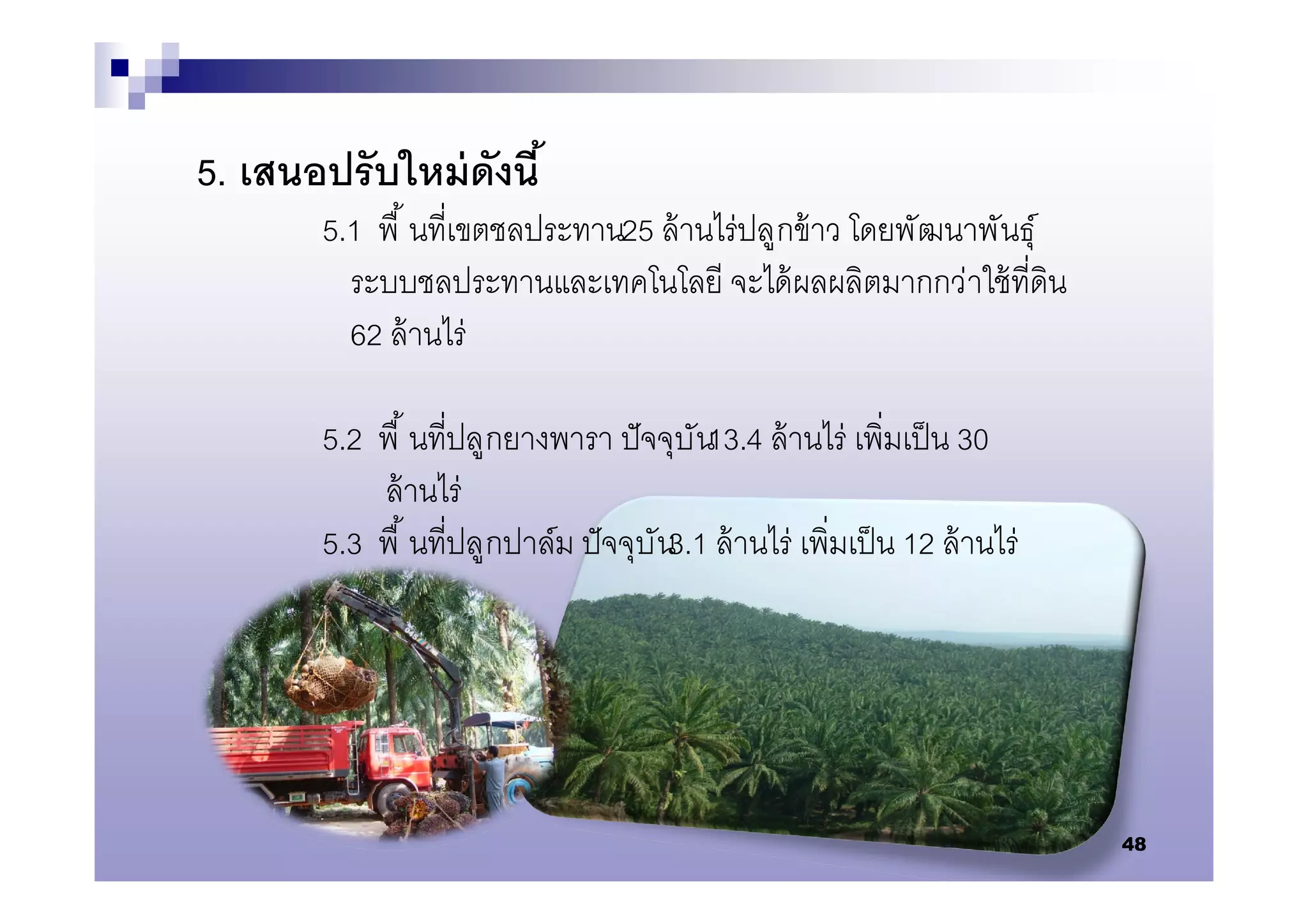 5. เสนอปรั บใหม่ ดังนี
        5.1 พื นทีเขตชลประทาน25 ล้ านไร่ปลูกข้ าว โดยพัฒนาพันธุ์
          ระบบชลประทานและเทคโนโลยี จะได้ ผลผลิตมากกว่าใช้ ทีดิน
          62 ล้ านไร่

        5.2 พื นทีปลูกยางพารา ปั จจุบัน13.4 ล้ านไร่ เพิมเป็ น 30
            ล้ านไร่
        5.3 พื นทีปลูกปาล์ม ปั จจุบัน3.1 ล้ านไร่ เพิมเป็ น 12 ล้ านไร่




                                                                          48
 
