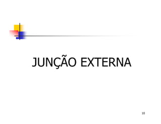10 
JUNÇÃO EXTERNA 
 