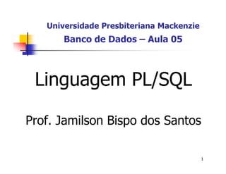 1 
Universidade Presbiteriana Mackenzie 
Banco de Dados – Aula 05 
Linguagem PL/SQL 
Prof. Jamilson Bispo dos Santos 
 