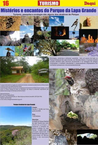 Criação:
Decreto nº 44.204, de 10 de
janeirode2004.
Área:
7.000hectares
Descrição:
Acriação do Parque Estadual
da Lapa Grande teve como
o b j e t i v o s p r o t e g e r e
conservar o complexo de
grutas e abrigos da Lapa
Grande. A região abriga os
principais mananciais de
fornecimento de água para a
comunidade de Montes
Claros e dos municípios
vizinhos.
Mistérios e encantos do Parque da Lapa Grande
16 TURISMO
Turismo, pesquisa e ecologia são alguns dos atrativos do Parque
Morcegos, cavernas e pinturas rupestres - tem um pouco de tudo no
Parque Estadual da Lapa Grande, em Montes Claros. O parque recebe
turistas atraídos pela natureza exuberante e os vestígios de antigas
civilizações, e também estudantes e pesquisadores interessados em
conhecer e preservar o rico ecossistema local.
Parque Estadual da Lapa Grande
O parque está inserido na região de ocorrência de cerrado, ecossistema predominante em Minas Gerais.
Localiza-sedentrodacidadedeMontesClaros.
AadministraçãoéfeitaemconjuntocomaCompanhiadeSaneamentodeMinasGerais(Copasa),comojá
ocorre no Parque Estadual da Serra do Rola-Moça, que abriga os mananciais responsáveis pelo
abastecimentodeáguadoMunicípiodeMontesClaros.
Sedeadministrativa:
IEF-EscritórioRegionalNorte
Endereço:JoséCorrêaMachado,s/n-BairroIbituruna,MontesClaros/MG,CEP3224-7500
Telefone:(38)32247550
e-mail:aneliza.melo@meioambiente.mg.gov.br
 