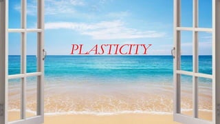 PLASTICITY
 