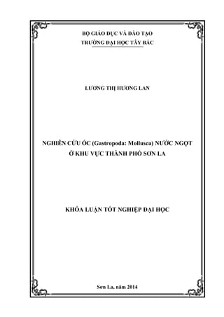 BỘ GIÁO DỤC VÀ ĐÀO TẠO
TRƢỜNG ĐẠI HỌC TÂY BẮC
LƢƠNG THỊ HƢƠNG LAN
NGHIÊN CỨU ỐC (Gastropoda: Mollusca) NƢỚC NGỌT
Ở KHU VỰC THÀNH PHỐ SƠN LA
KHÓA LUẬN TỐT NGHIỆP ĐẠI HỌC
Sơn La, năm 2014
 
