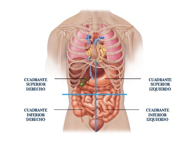 DOLOR ABDOMINAL AGUDO