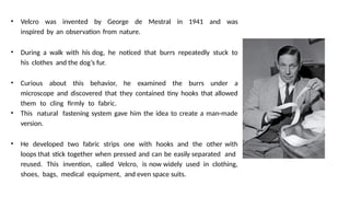 • Velcro was invented by George de Mestral in 1941 and was
inspired by an observation from nature.
• During a walk with his dog, he noticed that burrs repeatedly stuck to
his clothes and the dog’s fur.
• Curious about this behavior, he examined the burrs under a
microscope and discovered that they contained tiny hooks that allowed
them to cling firmly to fabric.
• This natural fastening system gave him the idea to create a man-made
version.
• He developed two fabric strips one with hooks and the other with
loops that stick together when pressed and can be easily separated and
reused. This invention, called Velcro, is now widely used in clothing,
shoes, bags, medical equipment, and even space suits.
 
