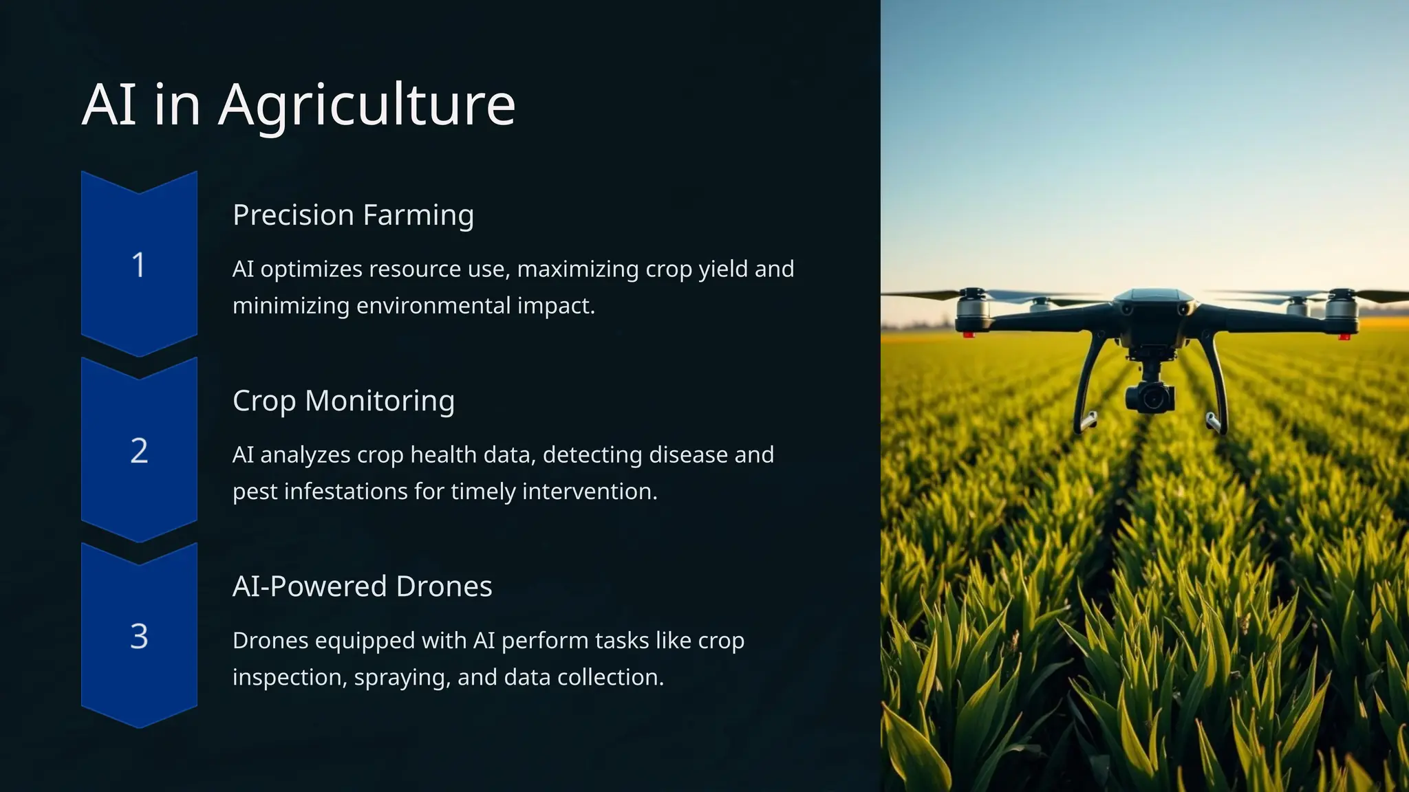 AI in Agriculture
Precision Farming
AI optimizes resource use, maximizing crop yield and
minimizing environmental impact.
Crop Monitoring
AI analyzes crop health data, detecting disease and
pest infestations for timely intervention.
AI-Powered Drones
Drones equipped with AI perform tasks like crop
inspection, spraying, and data collection.
 