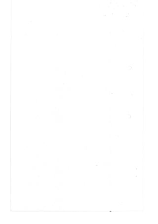 Merger Case Annex (Growmore-Adani Power).pdf