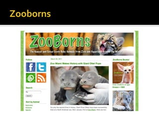 Twitter:A Personal Learning Network (PLN)