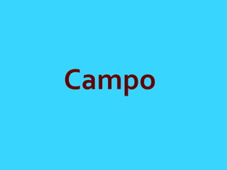 Campo	
  
 