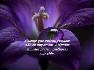 Mergulhe em você mesmo