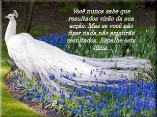 Mergulhe em você mesmo