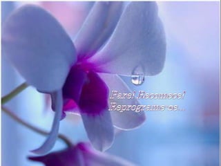 Mergulhe em você mesmo