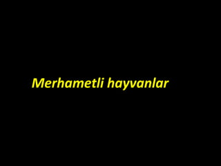 Merhametli hayvanlar
 