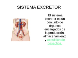 SISTEMA EXCRETOR
El sistema
excretor es un
conjunto de
órganos
encargados de
la producción,
almacenamiento
y expulsión de
...