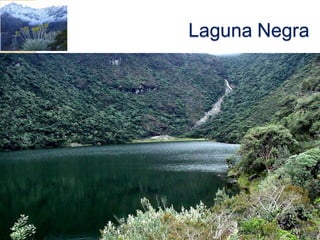 Laguna Negra