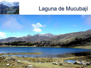 Laguna de Mucubají
