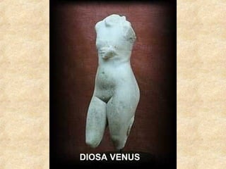 DIOSA VENUS

 